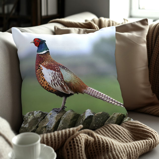 “Rufus the Pheasant” Cushion  
