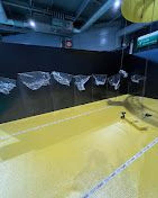 Impression ou Fourniture à la demander sur devis