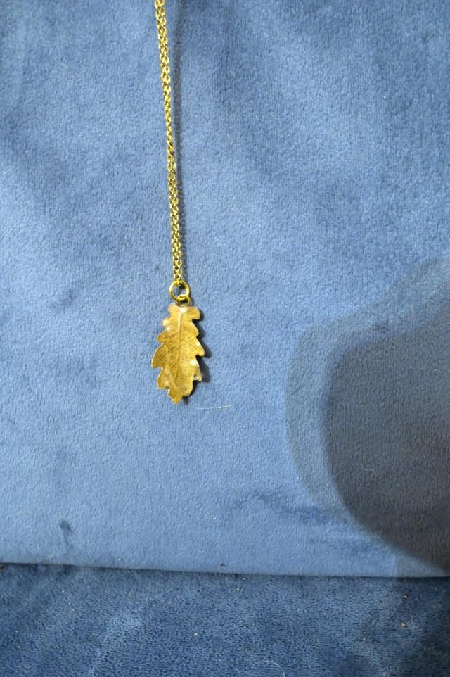 Véritable feuille de chêne 