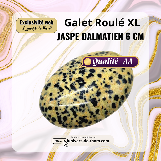 Galet Roulé XL Jaspe Dalmatien 6cm