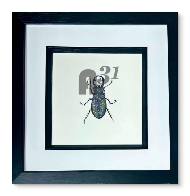 370. Beetle (Sparkle version) 