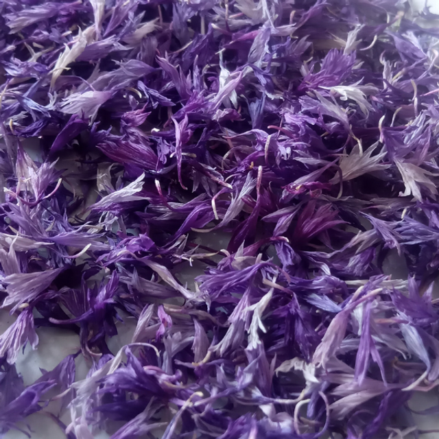 Pétales mauve