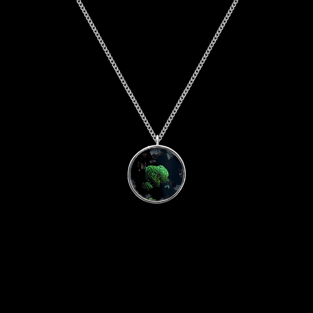 Pendentif Médaille - Sternocera | Vert boréal 6/15