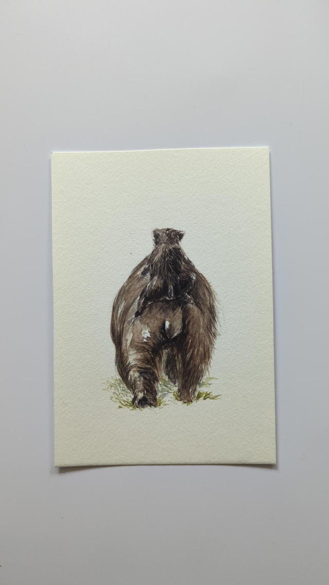 Ourson sur le dos de sa mère