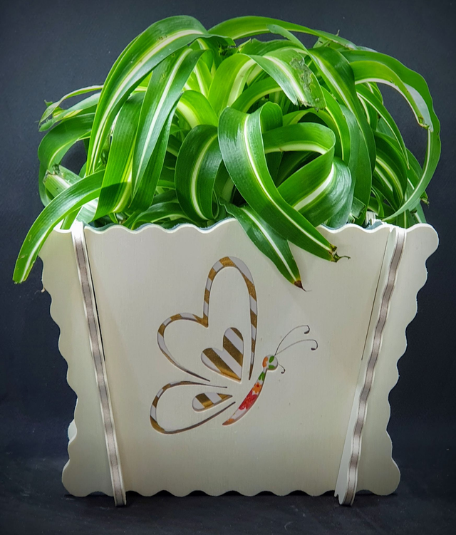 Cache- pot d&#039;intérieur motif grand papillon