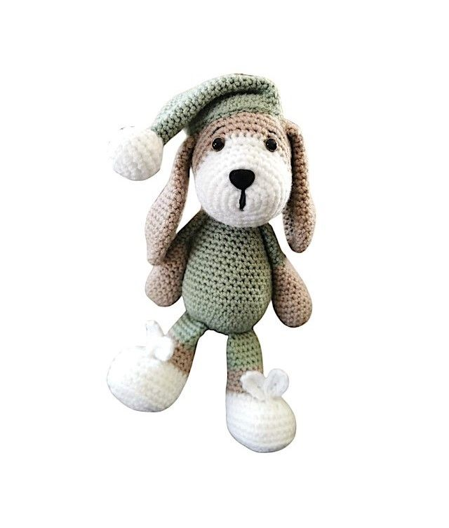 Chien avec son bonnet de nuit