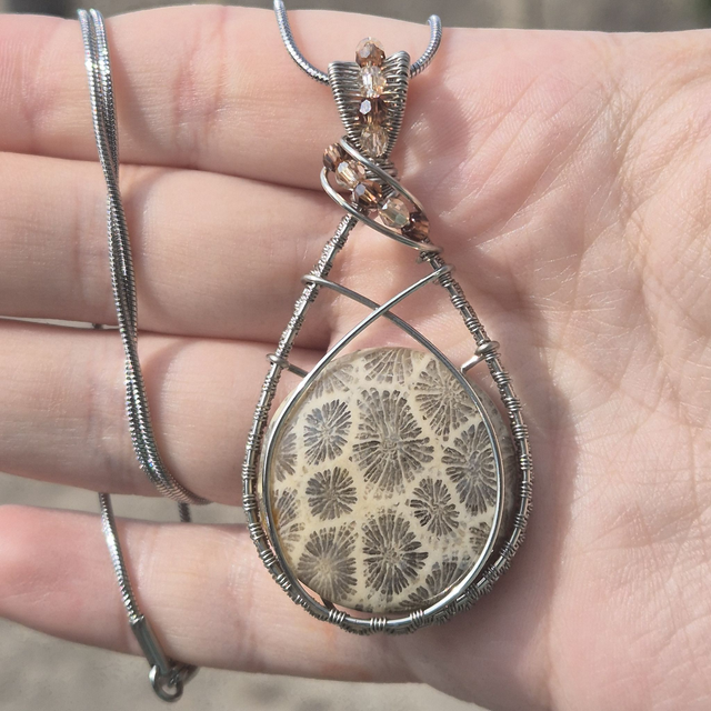 Corail Fossile (350)