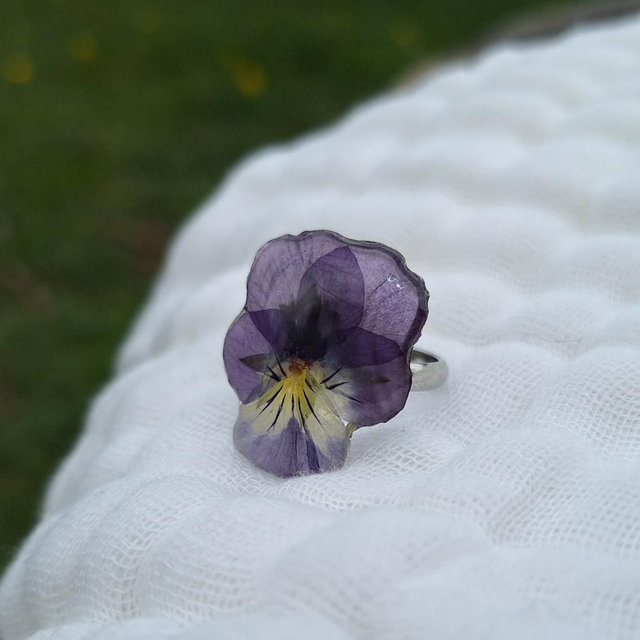 Bague petite Pensée • Viola cornuta • argenté