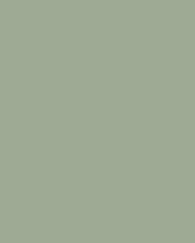 Fern- Green- Plain