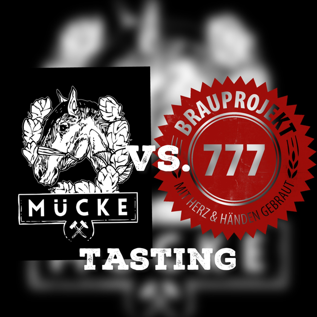 TASTING 28.02.2026  Brauprojekt vs. Mücke Bier 
