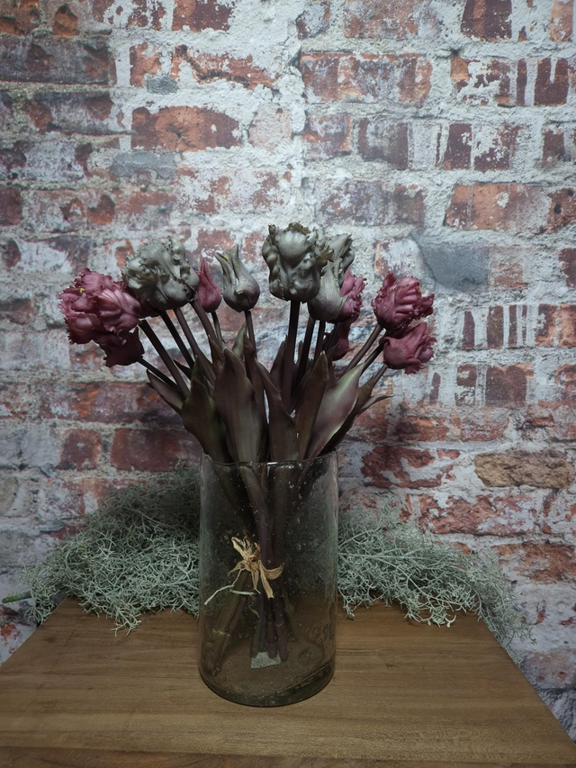 Parkiettulp grijs