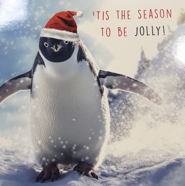 Christmas Humorous Penguin 