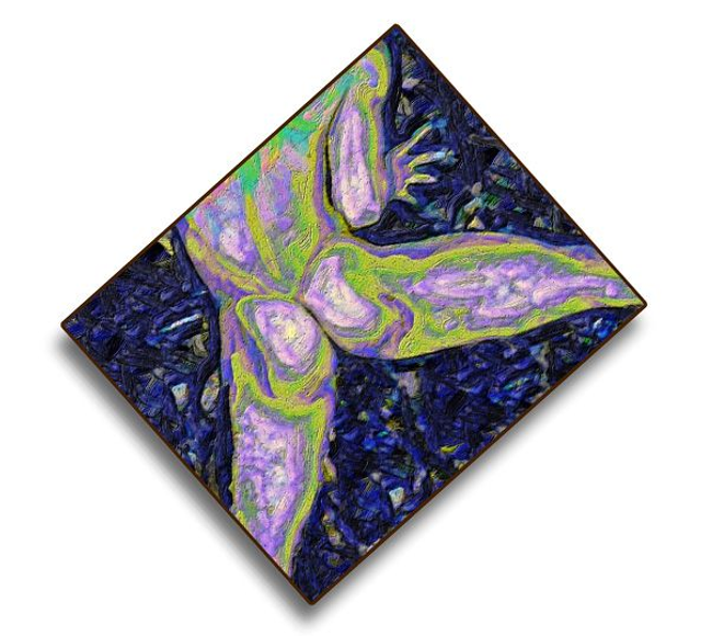 03 Body - Free Solo Of The Butterfly, 2025.