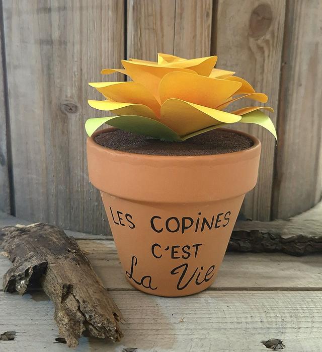 Baby plante "Les copine c'est la vie"