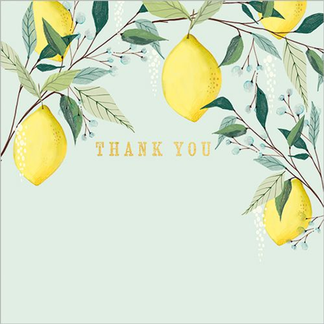 Lemon Tree (Thank You)
