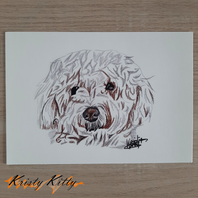 "ami d'enfance" édition limitée