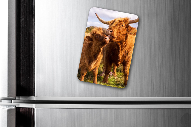 Mother Knows Best, Peak District