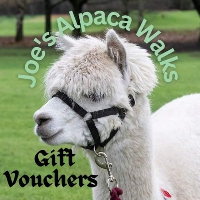 GIFT VOUCHERS