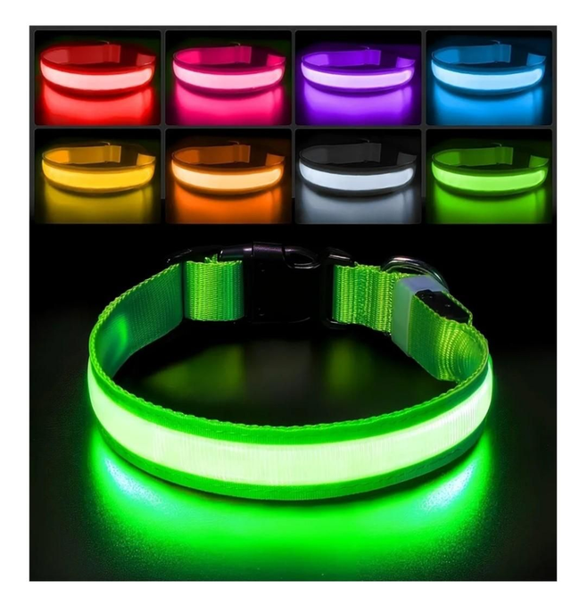 Zzz on hold Dog collar luminous