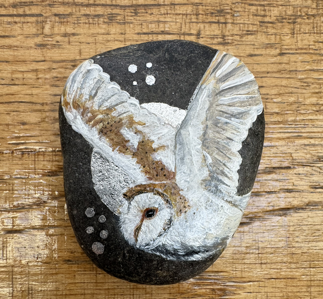 Midnight Flight - Barn Owl