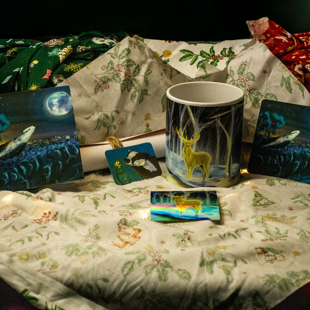 Coffret cadeau - Histoire et tasse