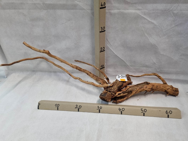 Racine Dragon Skin D-201