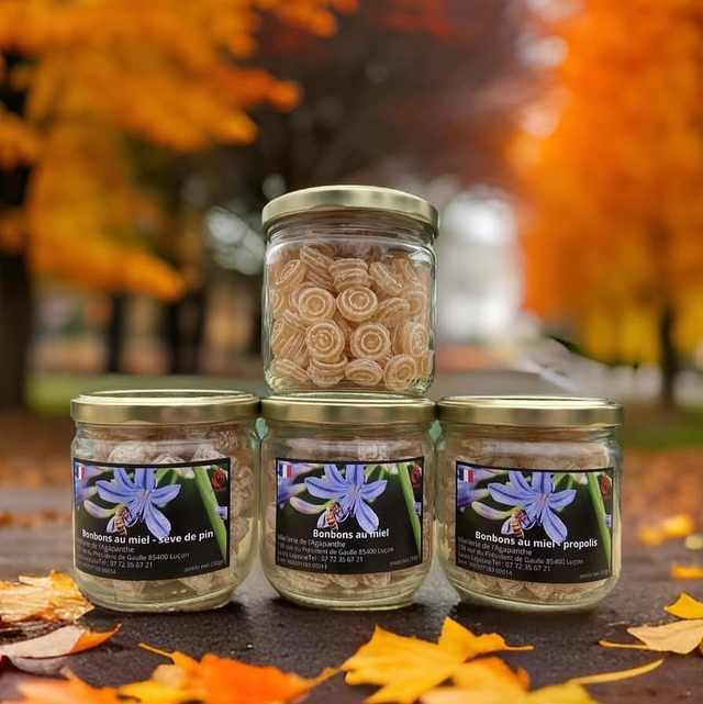 Bonbons au Miel-Propolis 