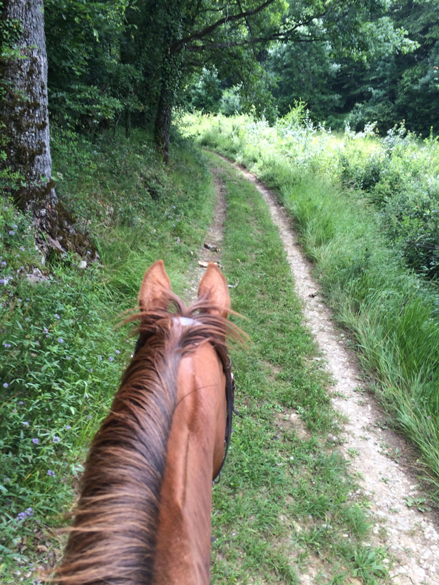 Balade à cheval - journée