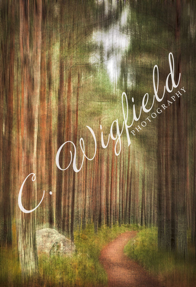 Walk Through The Forest Mounted Print