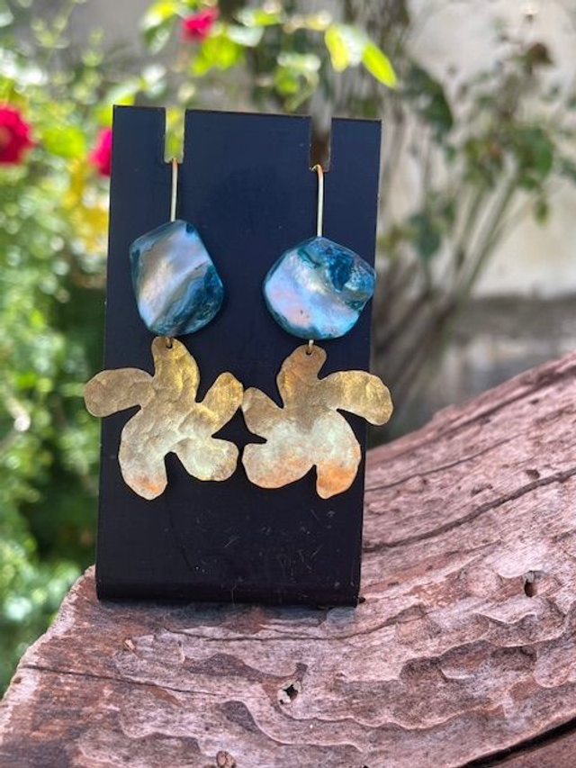 Pendientes Asteroidea Concha