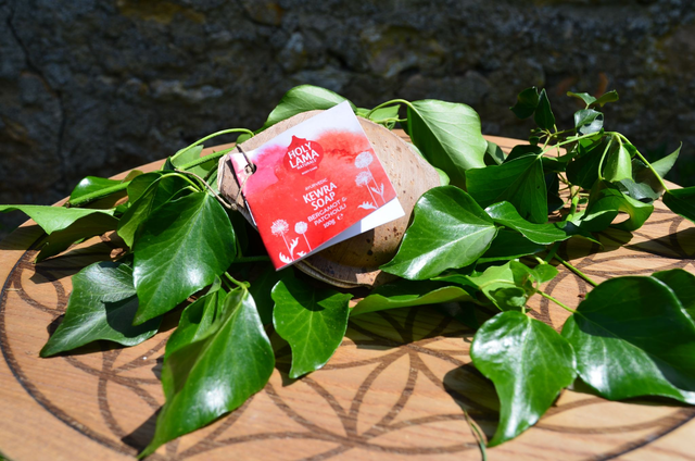 Holy Lama Savon Kewra huile coco en feuille de palmier