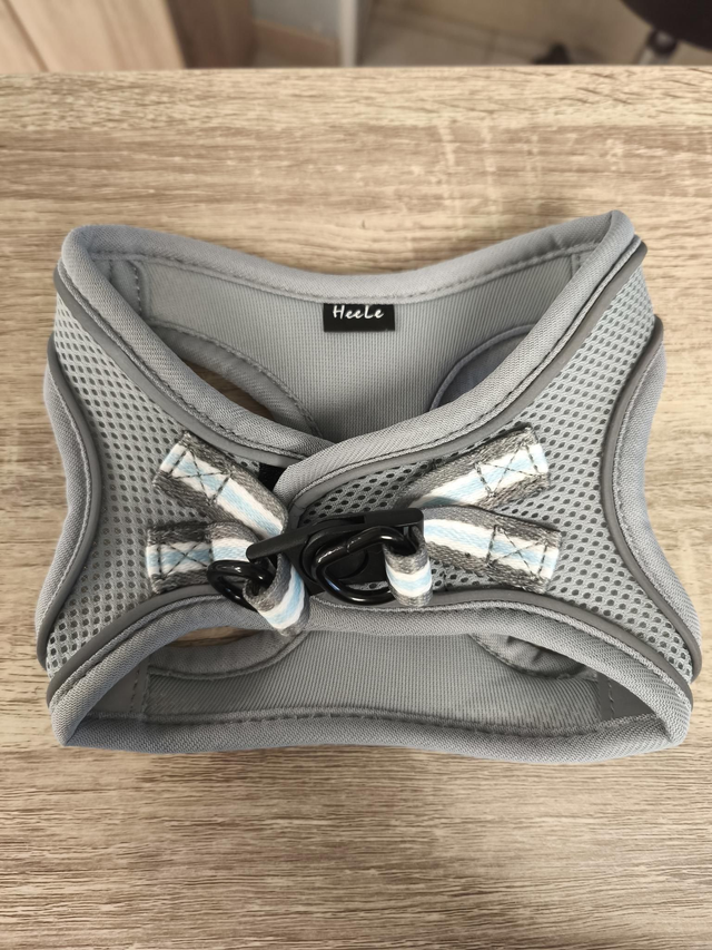 Harnais t-shirt gris XS