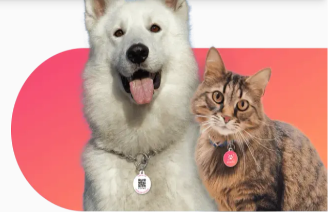 PAW ID - QR Code Dog Tag