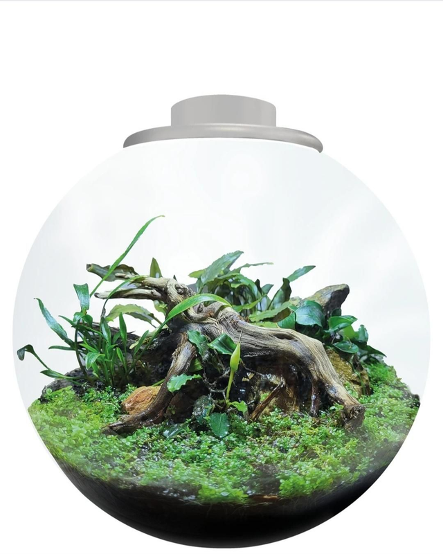 Bio art bowl 225 wit 8715897349478