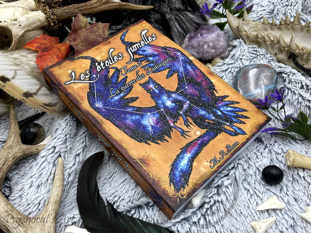 Les étoiles jumelles Roman 2