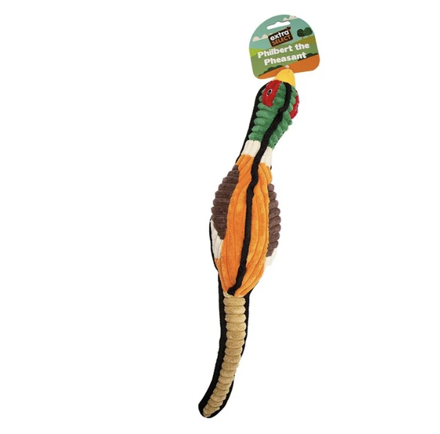 Philbert the Pheasant