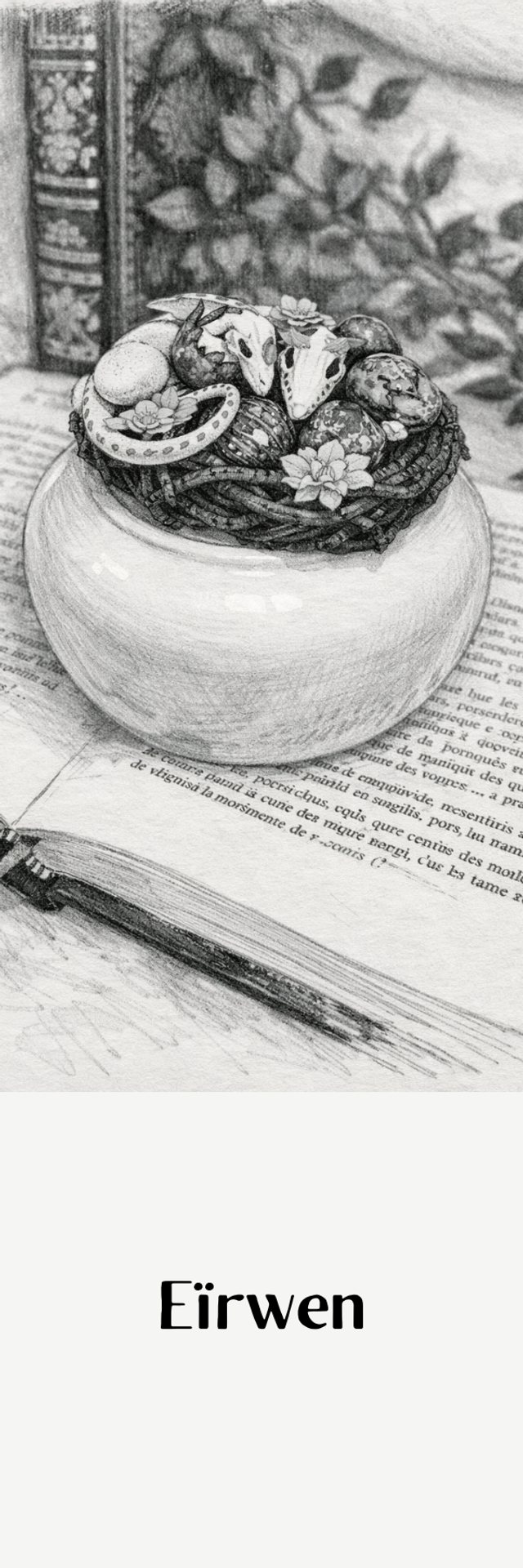 Choniques Draconiques: Eïrwenn