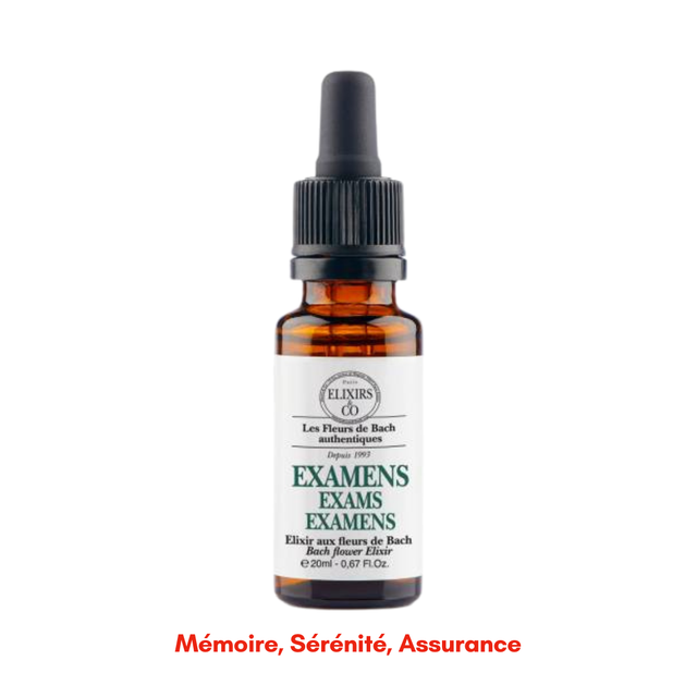 Élixir ~ Examens