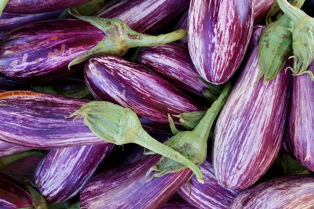 Auberginen