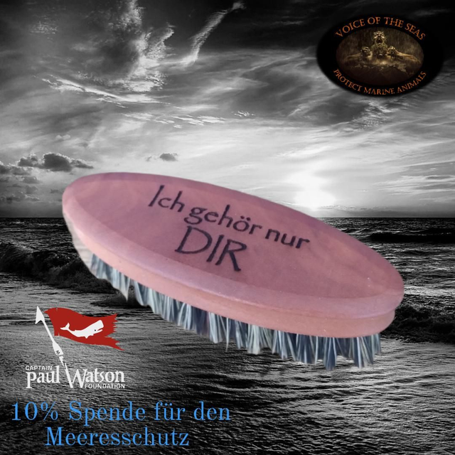 Bartbürste "Ich gehör nur dir"