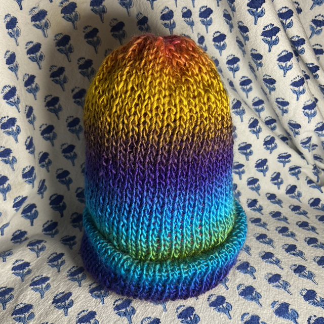 Shiny rainbow reversible beanie
