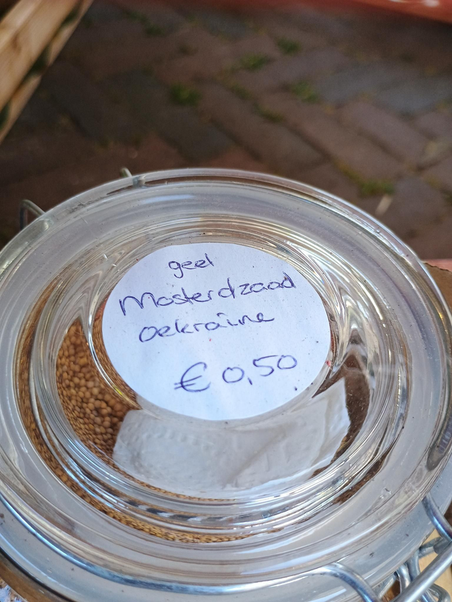 Mosterdzaad