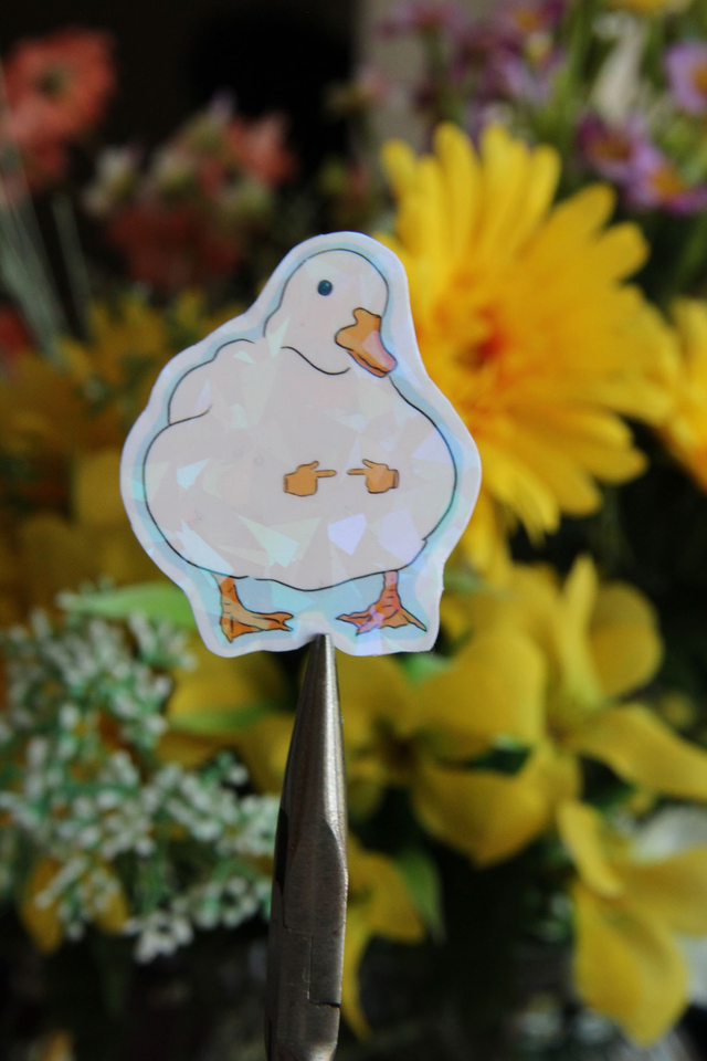 Sticker Canard timide 