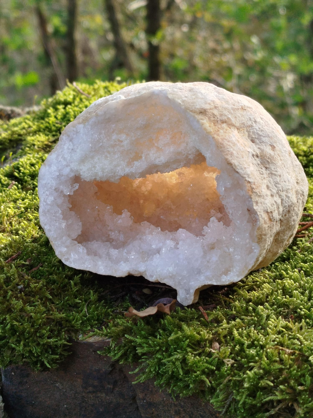 Géode de Quartz ( Cristal de Roche)