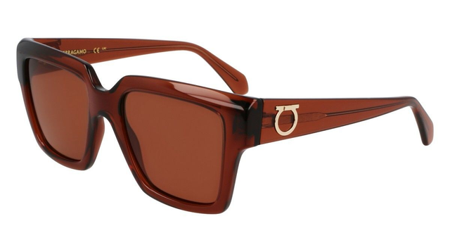 Eyewear Woman Salvatore Ferragamo  SF2014S 232