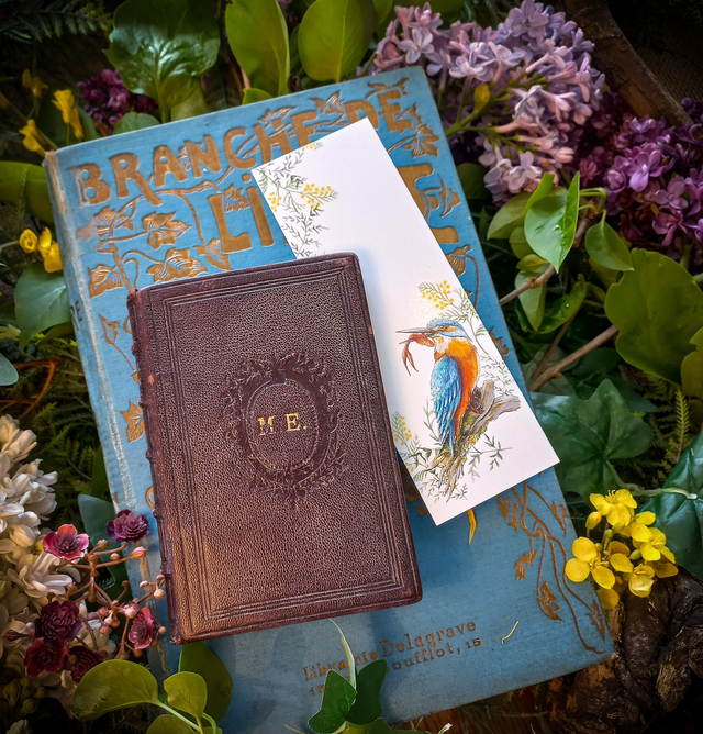 Marque-page &quot;Martin pêcheur&quot;