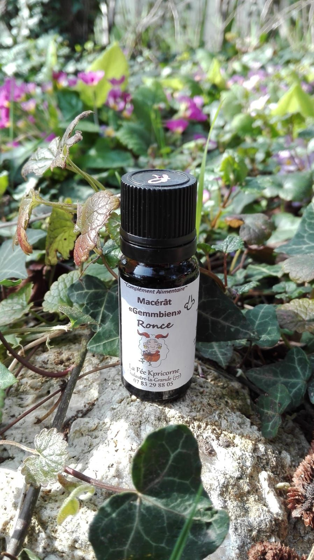 MACERAT DE BOURGEONS de Ronce [BIEN-ETRE Hivernal] 10ml