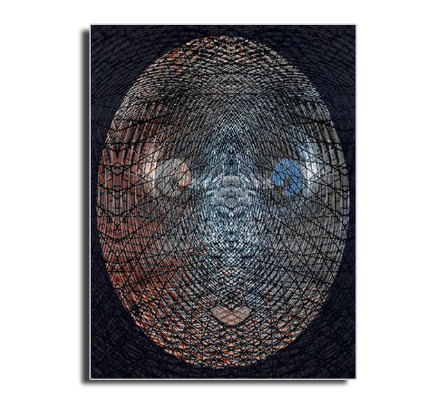 05 Head - Caught In Chicken Wire I, 2011.