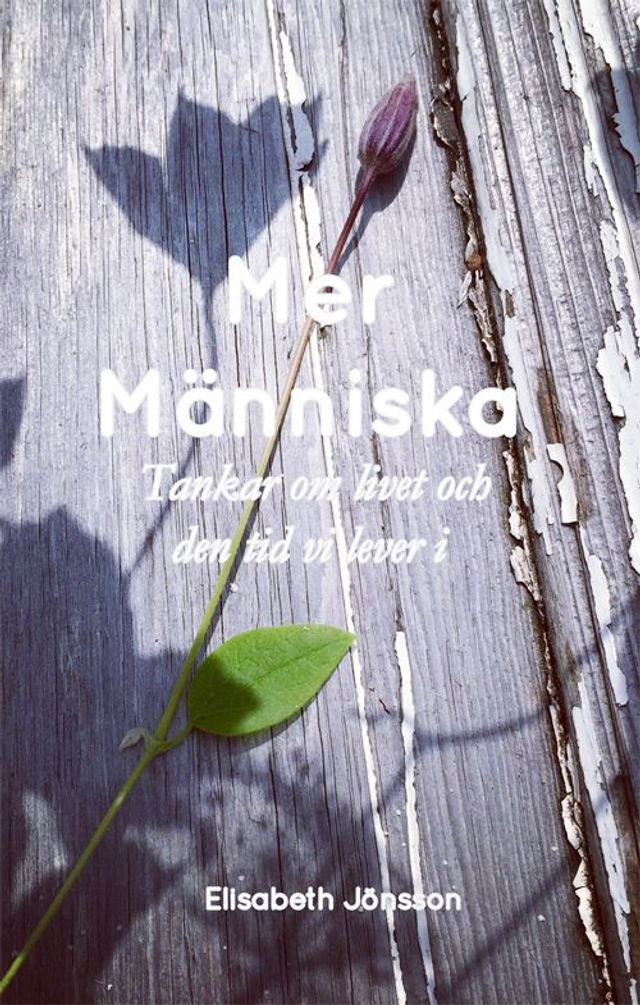 Mer Människa: tankar om livet och den tid vi lever i