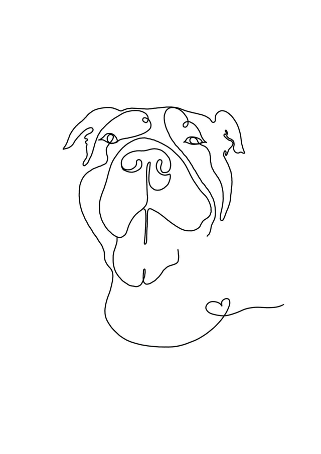 Dog Portrait Line Drawings
